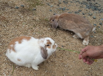 20140628_140645.jpg