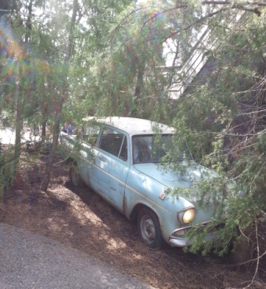 20140728_153038.jpg