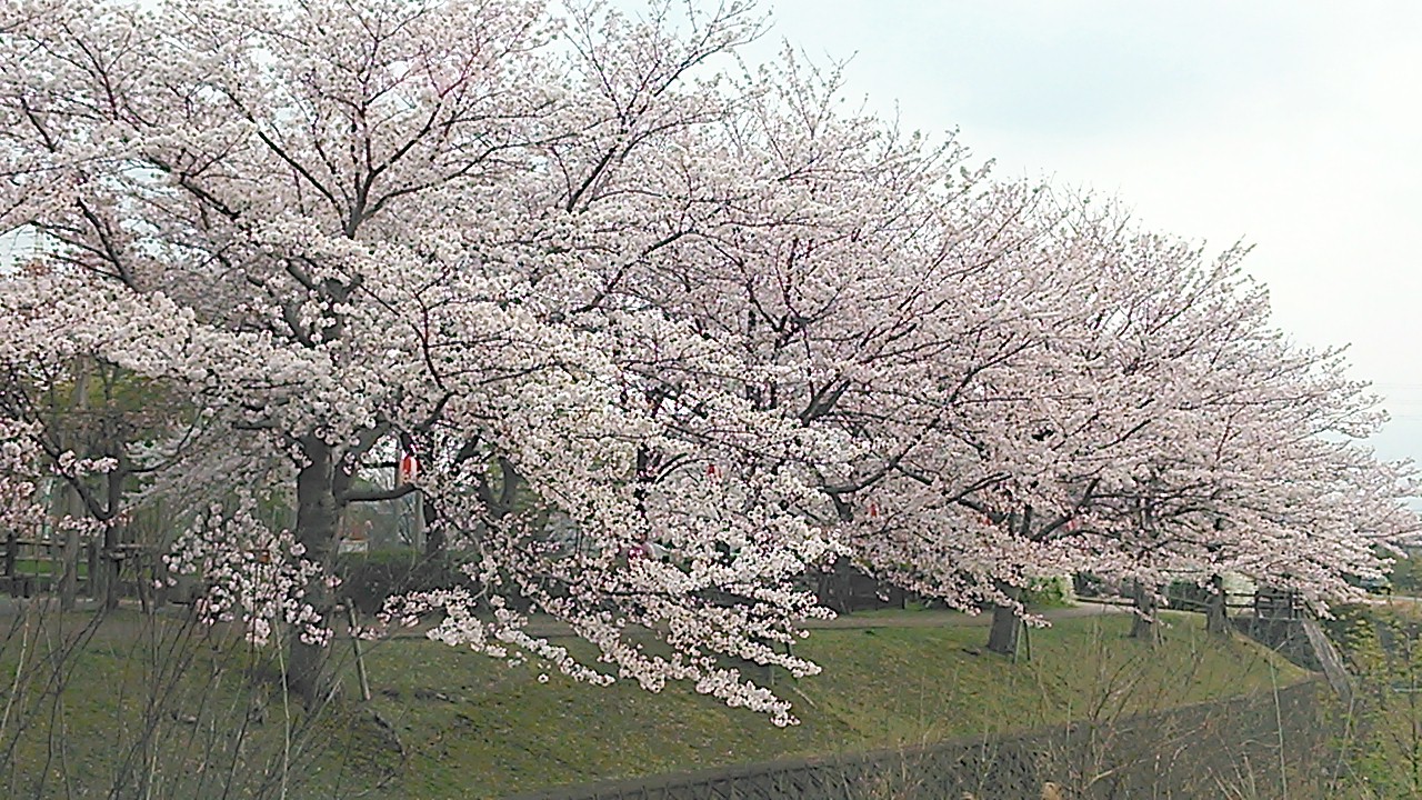 NCM_0695.JPG