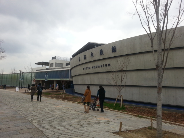 京都水族館.jpg